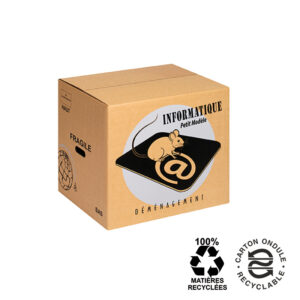 Carton informatique