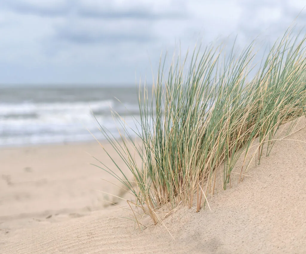 Dune, vent et mer, photo d'ambiance RSE pour la démarche de groupe : la mobilité de demain